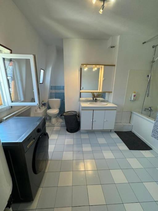 Appartement De Charme Hyper Centre ディジョン エクステリア 写真