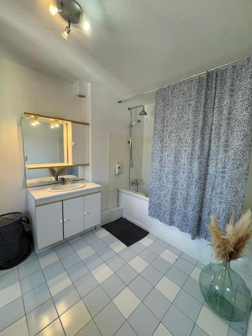 Appartement De Charme Hyper Centre ディジョン エクステリア 写真